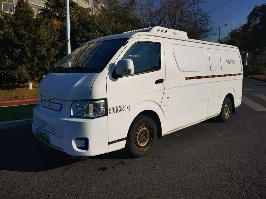 Farizon  2024 Электрический