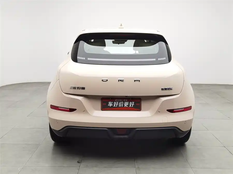 ORA Good Cat 2022 Электрический