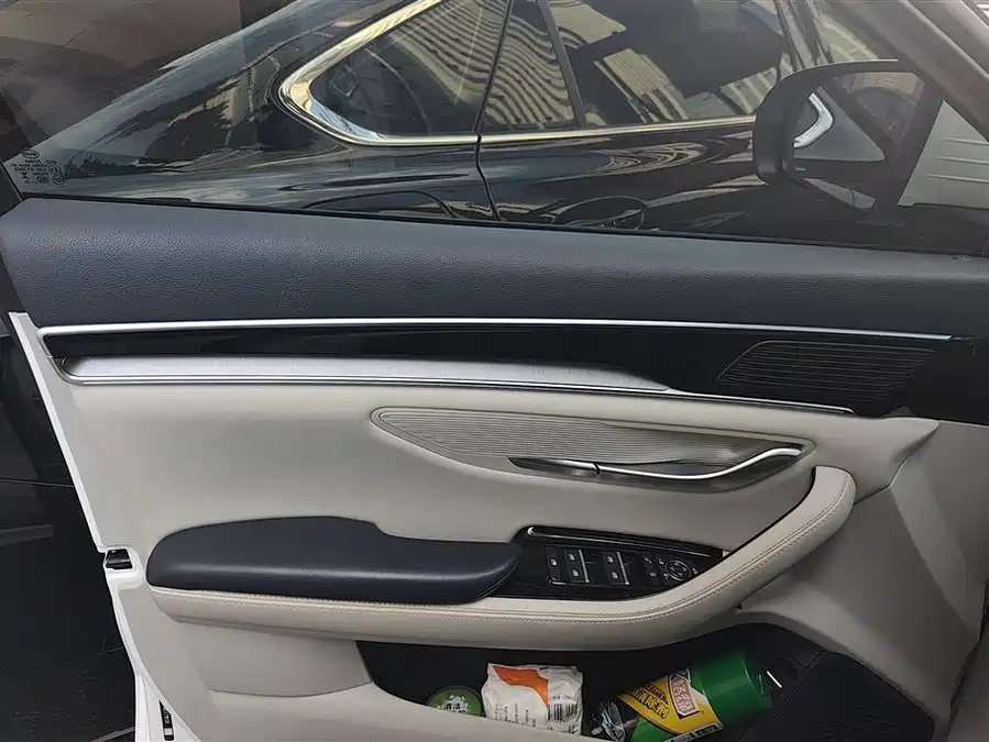 BYD Song PLUS EV 2023 Подключаемый гибрид