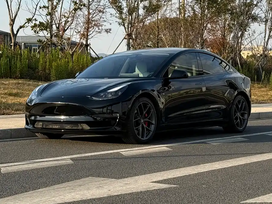 Tesla Model 3 2021 Электрический